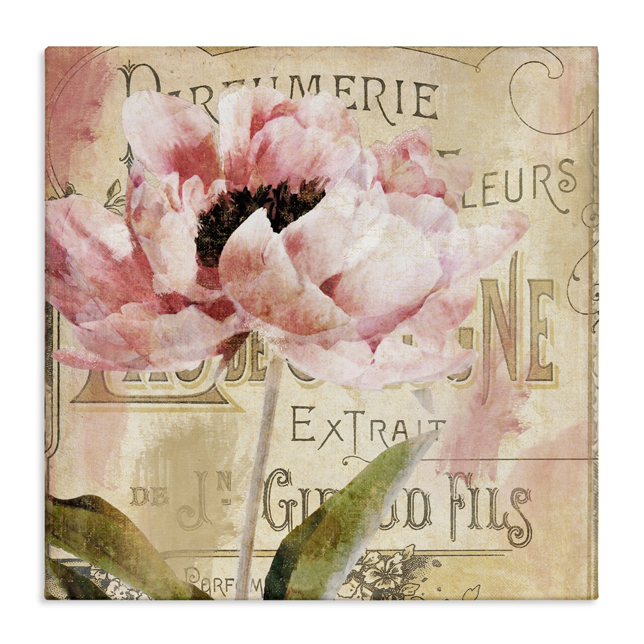 Stupell Industries Jardin Rouge Vintage Blossom Canvas, design by Sophie 6
